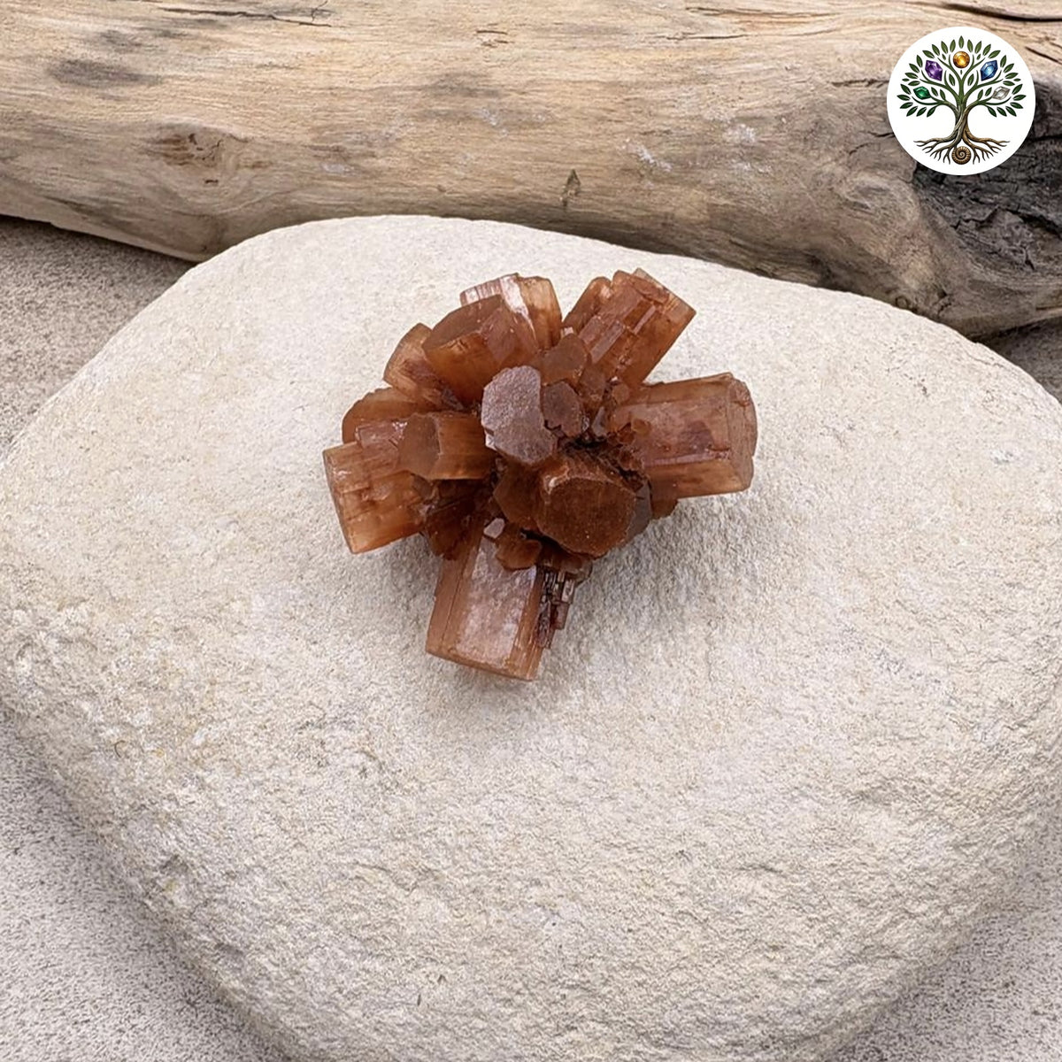 Aragonite brute du Maroc 2-4cm