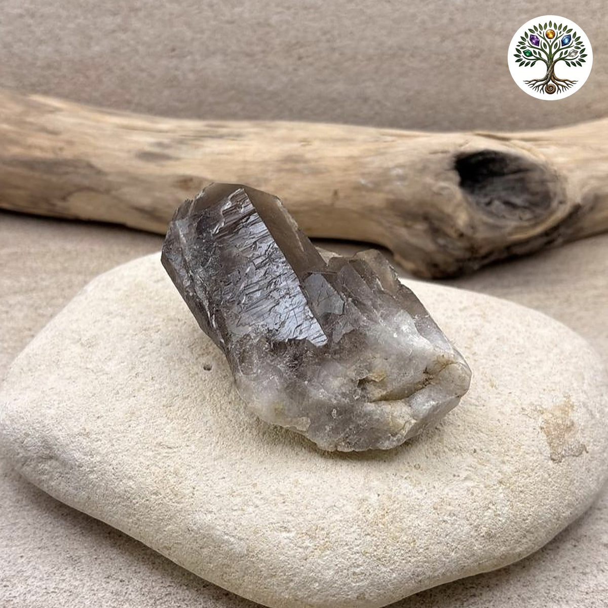 Gerbe de quartz fumé Brésil - environ 146g - photo 3