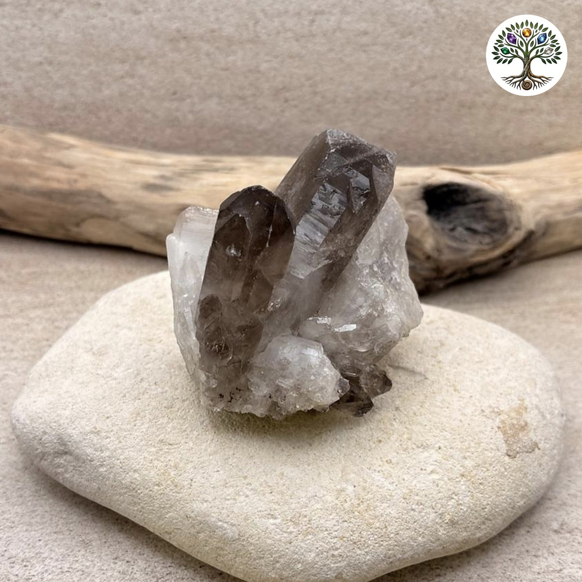 Gerbe de quartz fumé Brésil - environ 263g - photo 2