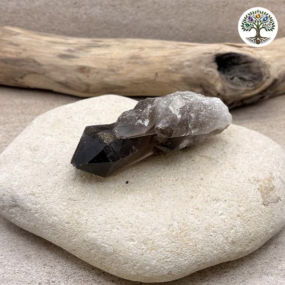 Gerbe de quartz fumé Brésil - environ 146g - photo 2