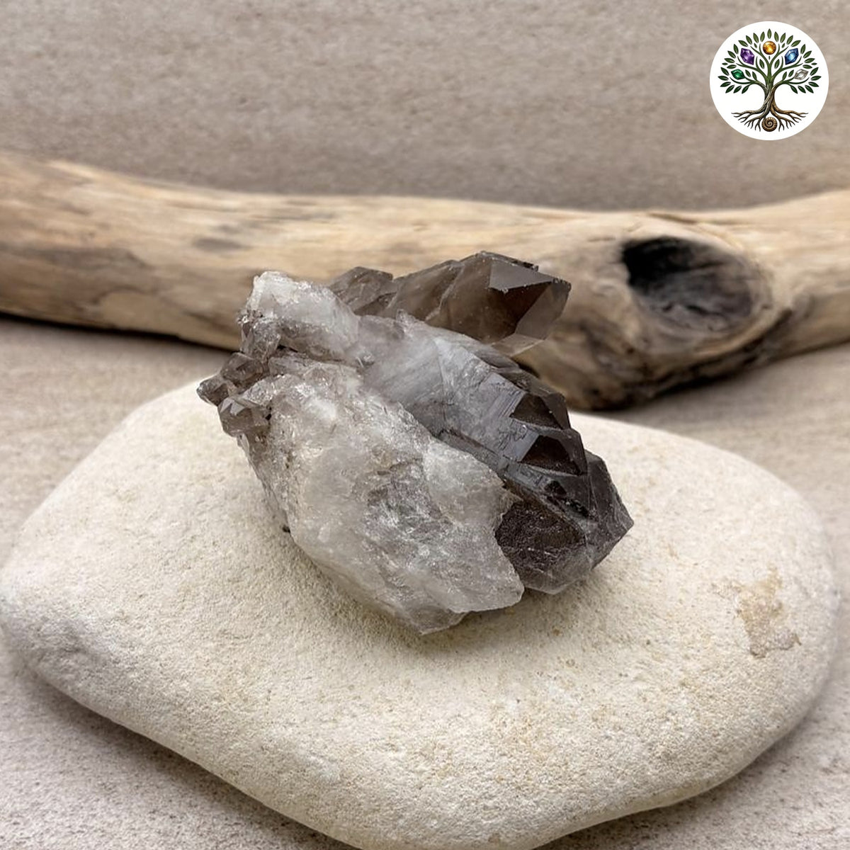 Gerbe de quartz fumé Brésil - environ 263g - photo 3