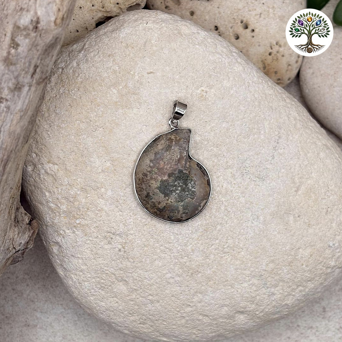 Pendentif Ammonite Polie - photo 2