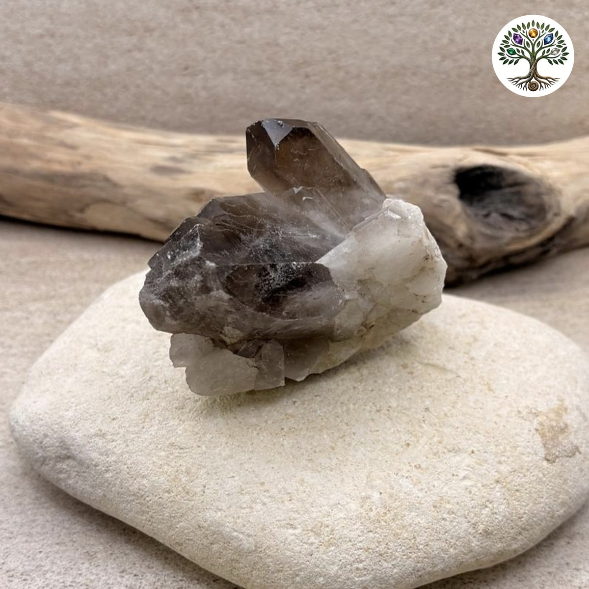 Gerbe de quartz fumé Brésil - environ 263g
