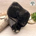 Œuf de septaria Madagascar AAA 2,3kg