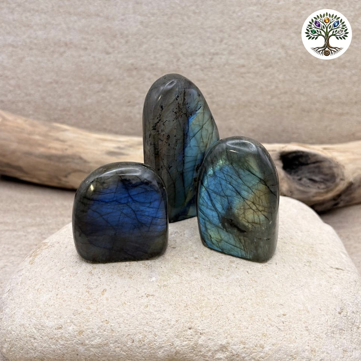 Labradorite polie forme libre, pierre à poser aux reflets bleus et dorés, qualité Extra AAA