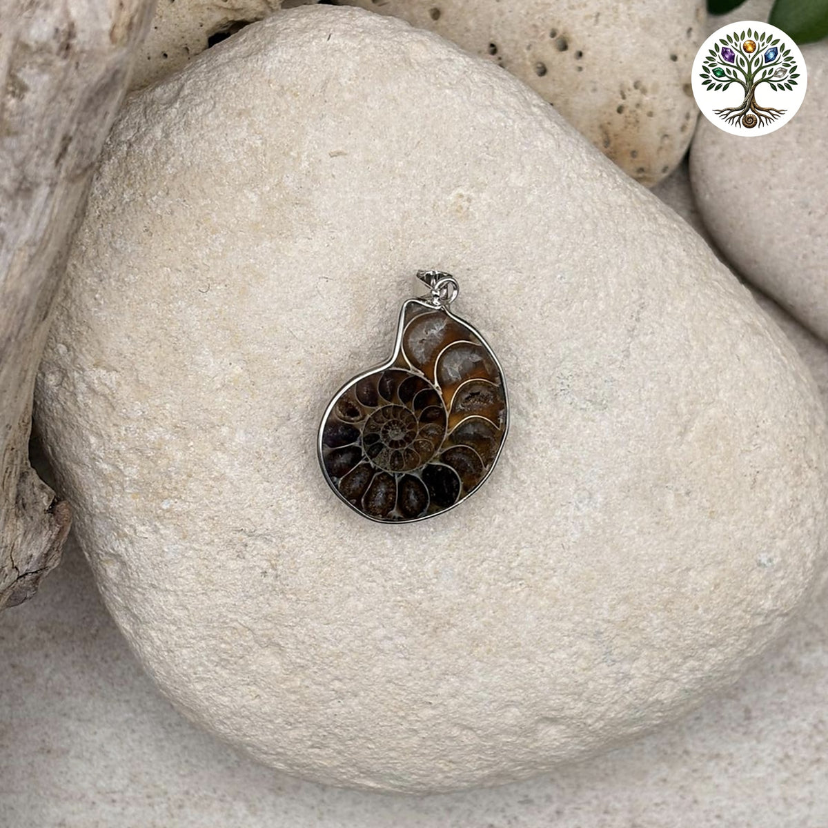 Pendentif Ammonite Polie