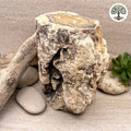 Fossile morceau de bois de Madagascar 2kg080