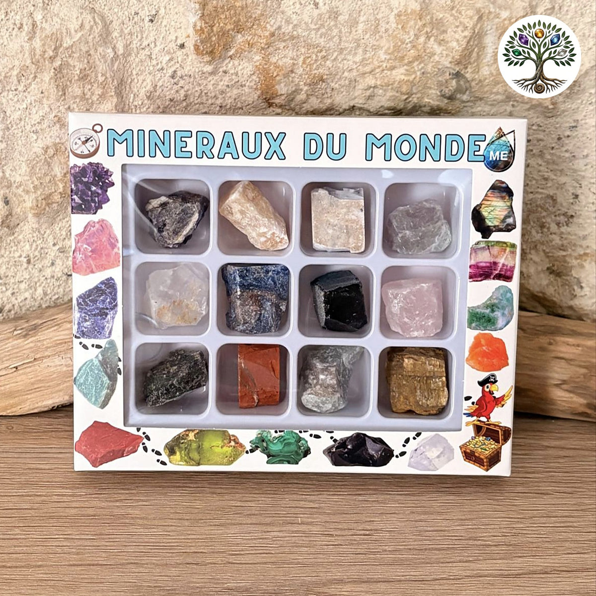 Coffret pédagogique des Minéraux du Monde 12 pièces