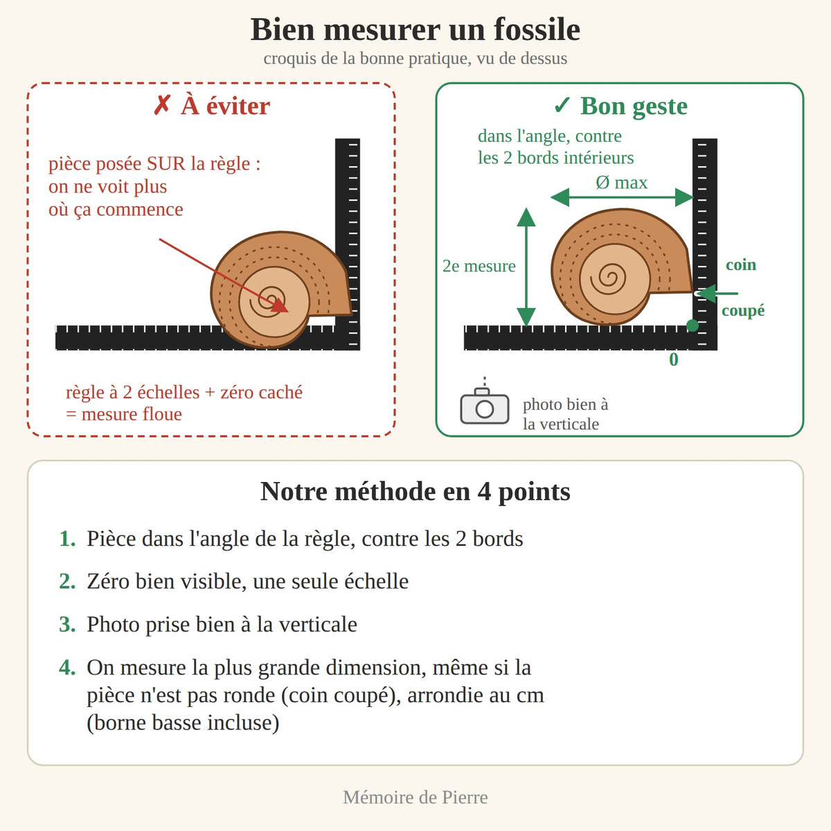 Schéma expliquant comment sont mesurés les fossiles : prise de mesure de l'ammonite